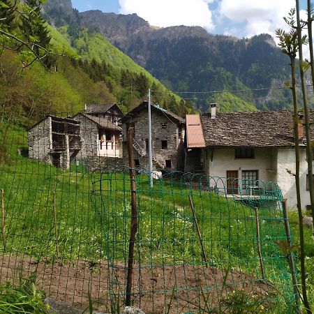 Il Fiume Di Fianco. Appartamento Alta Valsesia Mollia Ngoại thất bức ảnh